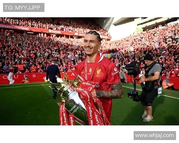 努涅斯的崛起与挑战：解析这位新星在足球界的影响力与未来发展潜力