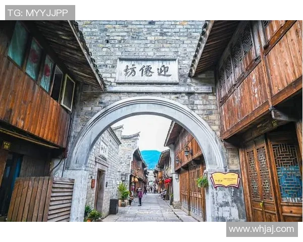 里泽的魅力探寻:从历史文化到现代发展全景解读 里泽的魅力探寻:从历史文化到现代发展全景解读